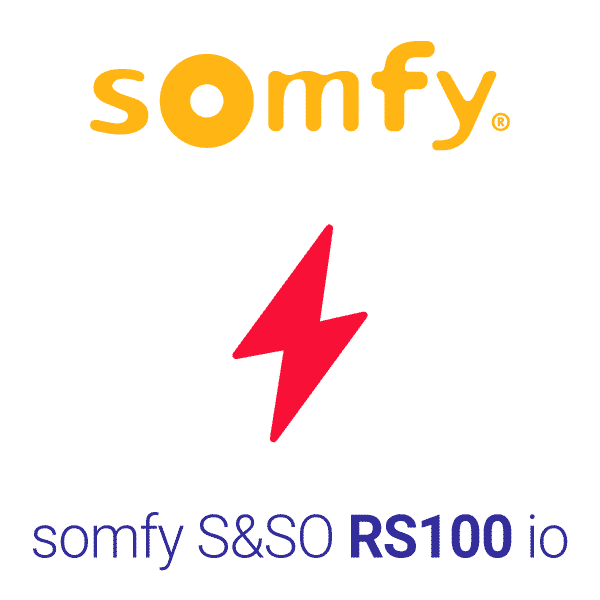 Somfy S&SO RS100 io