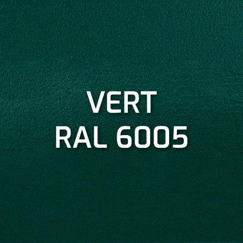 Vert RAL 6005